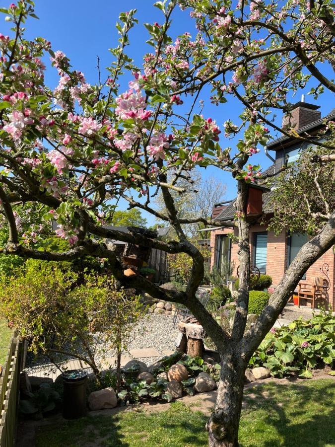 Elb Nest Gaestehaus Neu Darchau Dış mekan fotoğraf