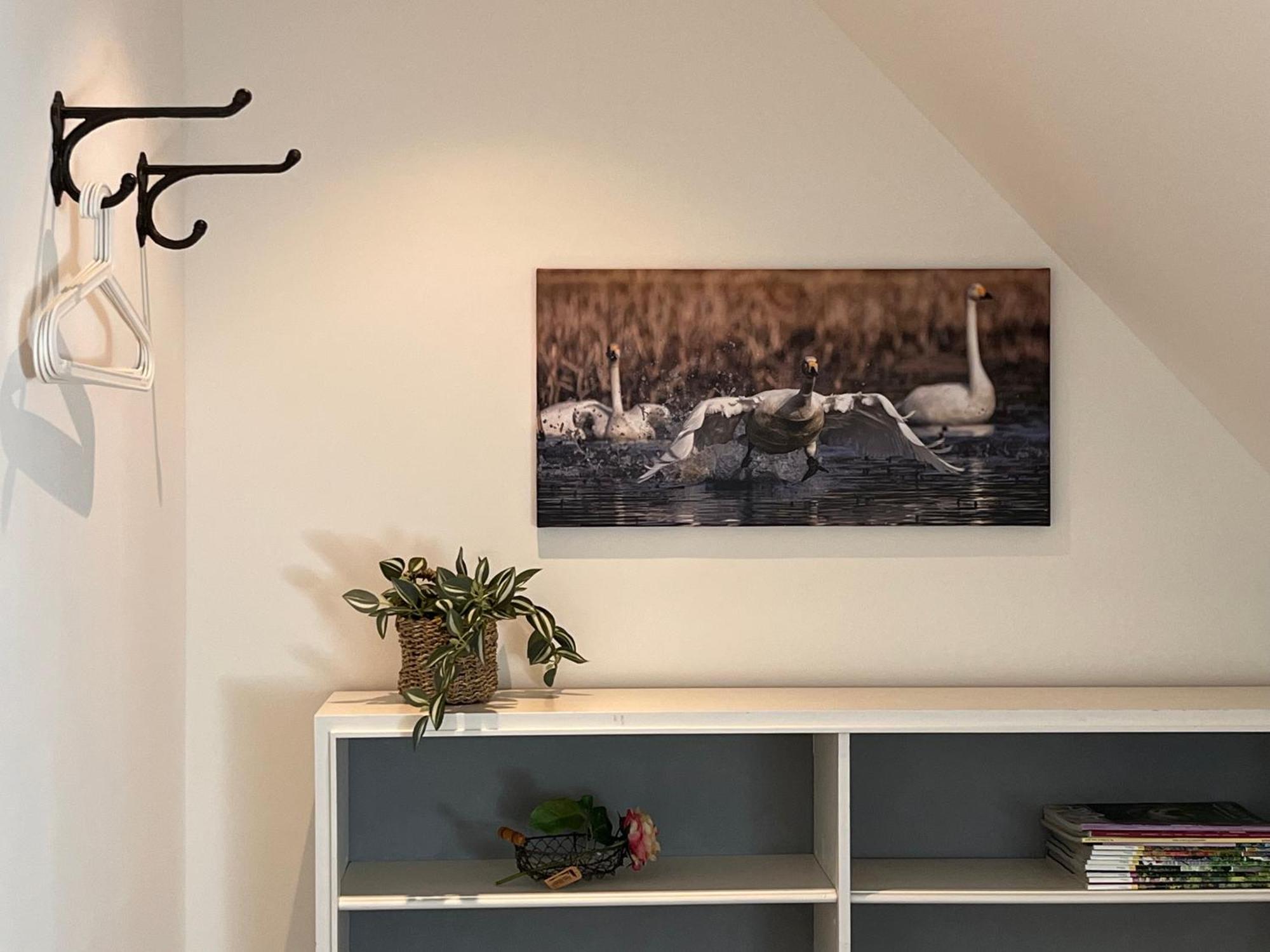 Elb Nest Gaestehaus Neu Darchau Dış mekan fotoğraf