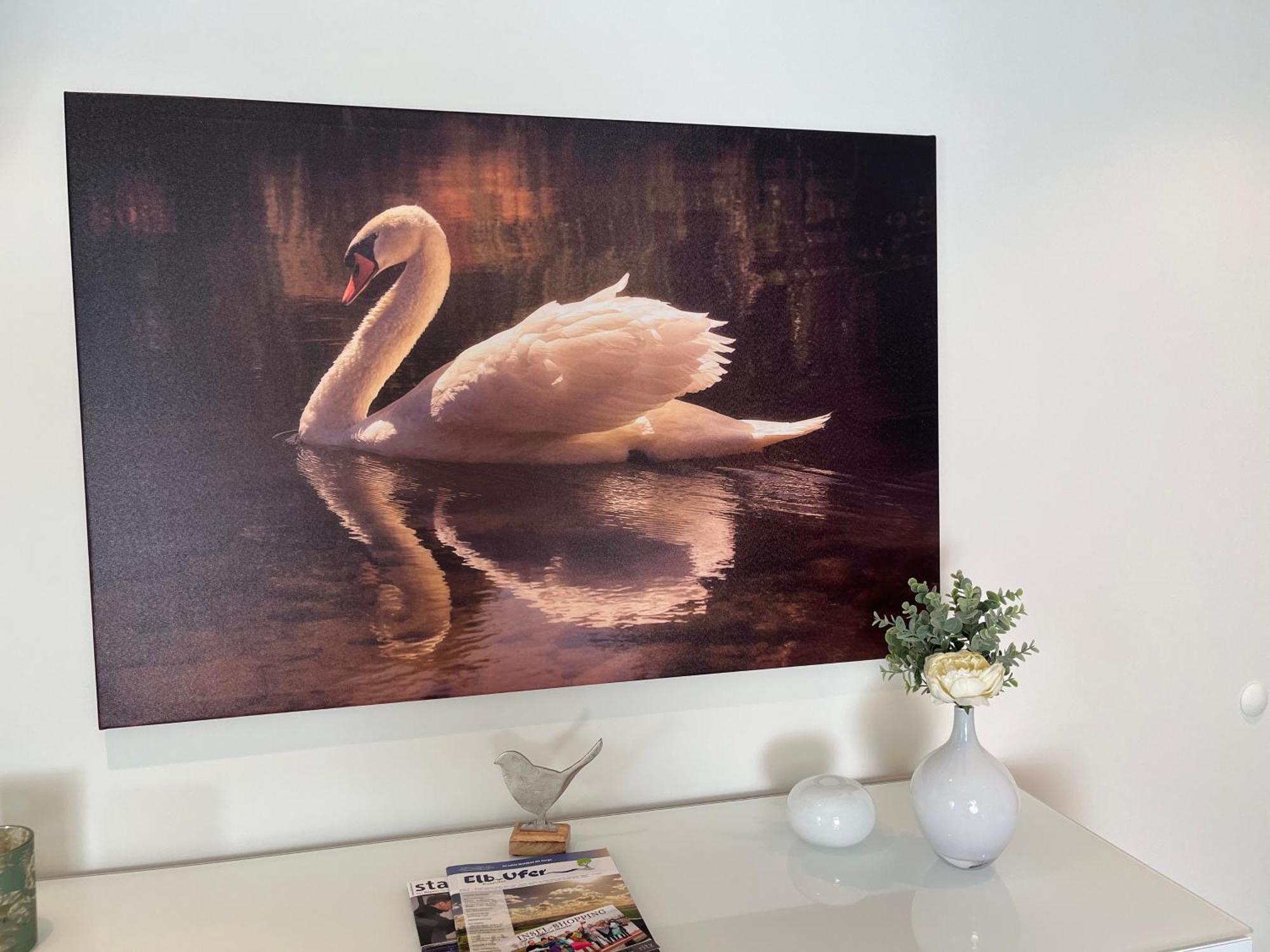 Elb Nest Gaestehaus Neu Darchau Dış mekan fotoğraf
