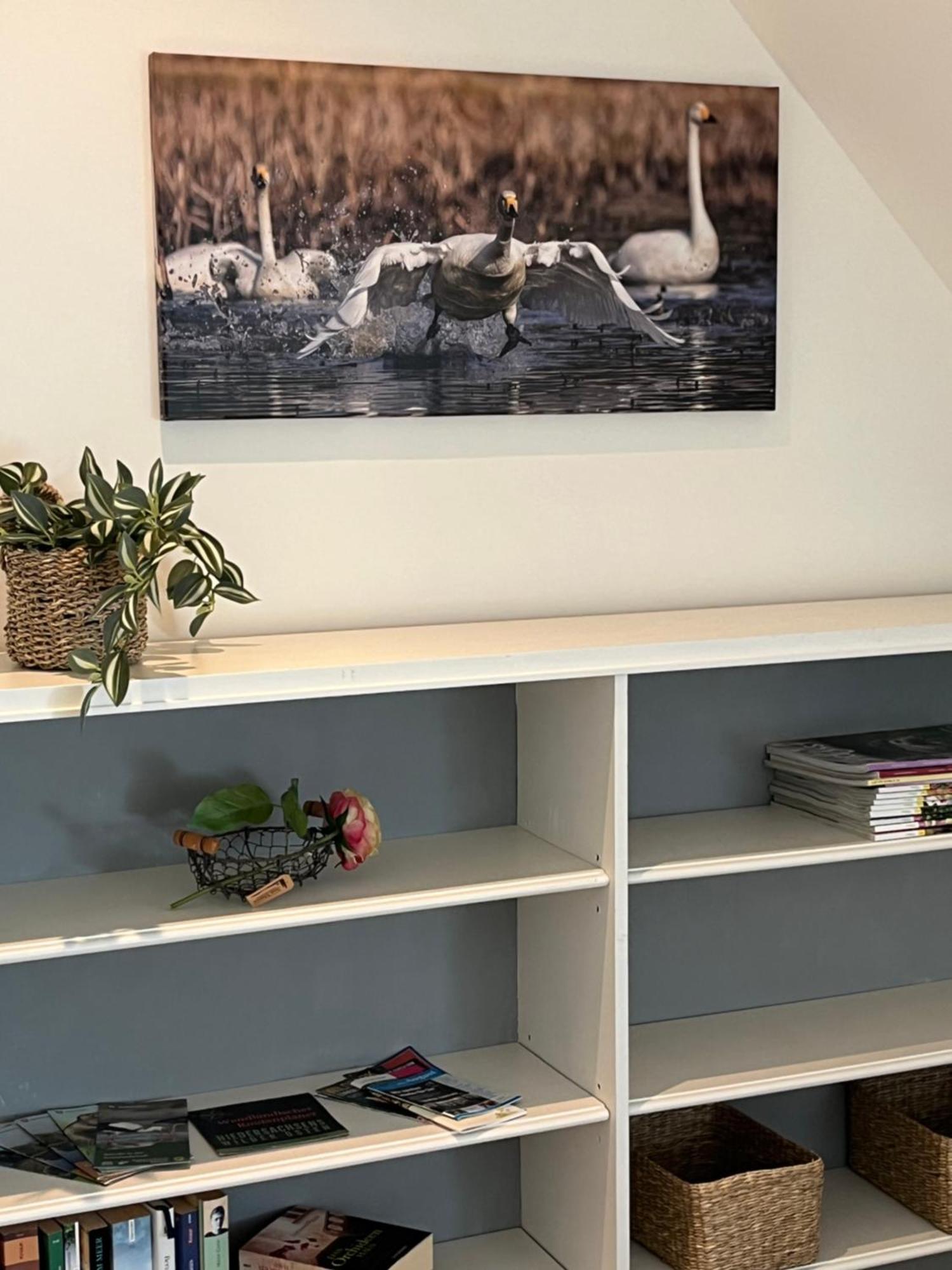 Elb Nest Gaestehaus Neu Darchau Dış mekan fotoğraf